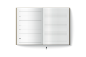 Drama Queen #BeInspired Diary