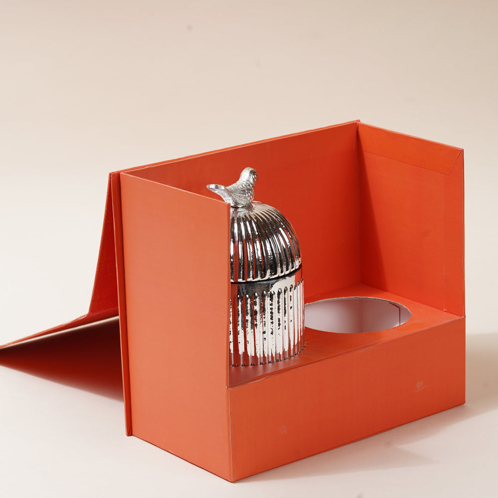 The Welcome Box - Celebration