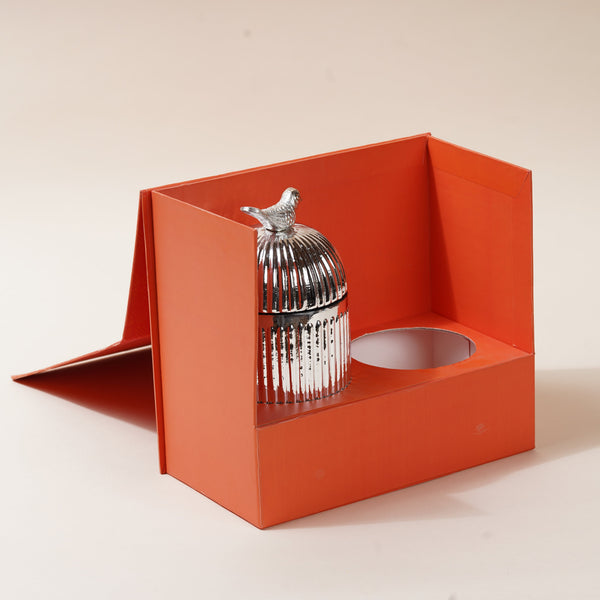 The Welcome Box - Celebration